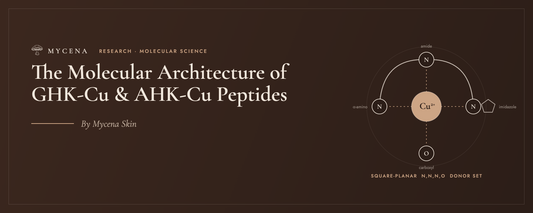 The Molecular Architecture of GHK-Cu & AHK-Cu Peptides — by Mycena Skin