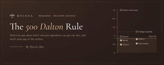 The 500 Dalton Rule: What Can Actually Get Into Your Skin