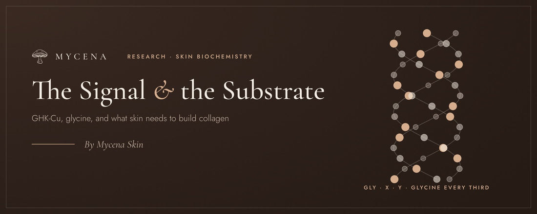 The Signal and the Substrate: GHK-Cu, Glycine and Vitamin C