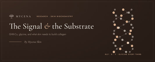 The Signal and the Substrate: GHK-Cu, Glycine and Vitamin C